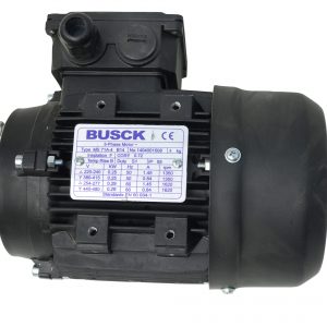 Spindelgearmotor BJ TP24 0,25kW / Ash scraper motor