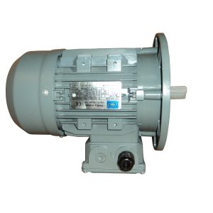 Brændstofmotor 0,55 kW 1000 rpm / Fuel motor